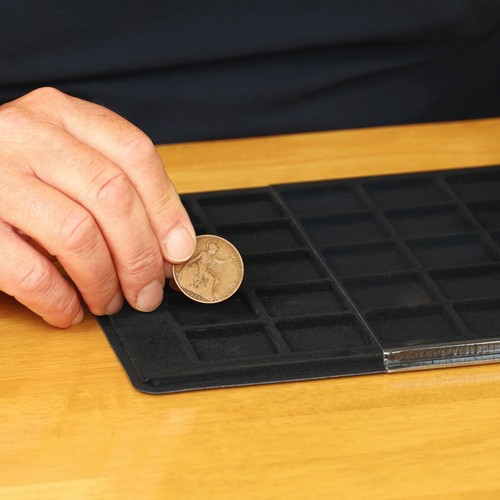 Black schulz classic coin - black, tray